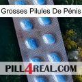 Grosses Pilules De Pénis viagra3